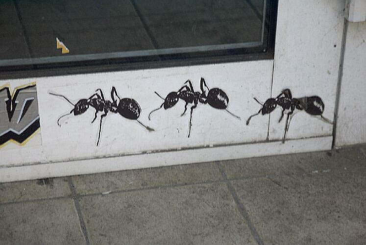 brunnenstr.-ants