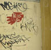 chorinerstr-rotehand-blume