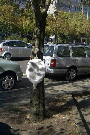 karl-liebknecht-str-pissoir